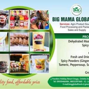 Big Mama Global Limited