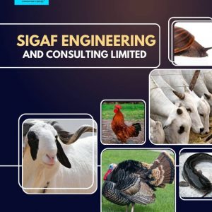 SIGAF ENGINEERING AND CONSULTING LIMITED