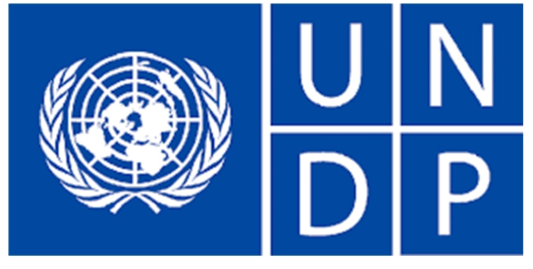 SMEDAN-UNDP Empowerment Application
